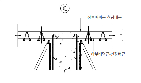 배력근 방향 단면 상세도